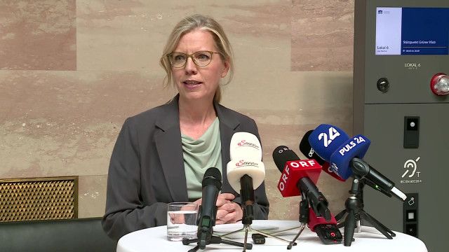 Pressestatement der Grünen zur Spritpreisbremse