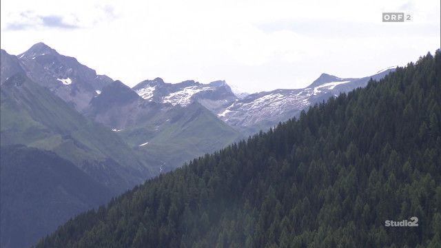 Studio 2 vom 07.07.2026