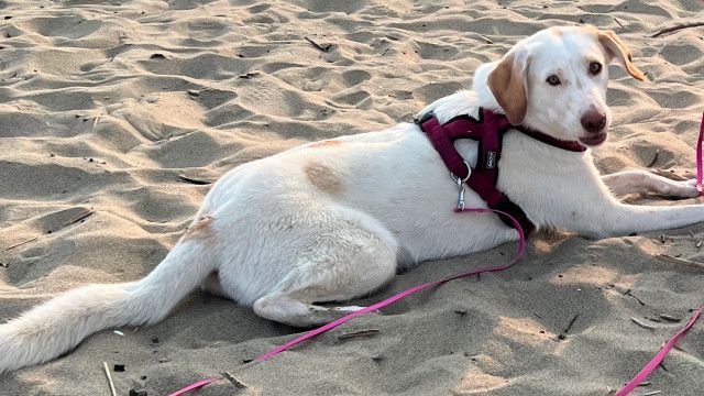 Mini Spezial: Ellie 10