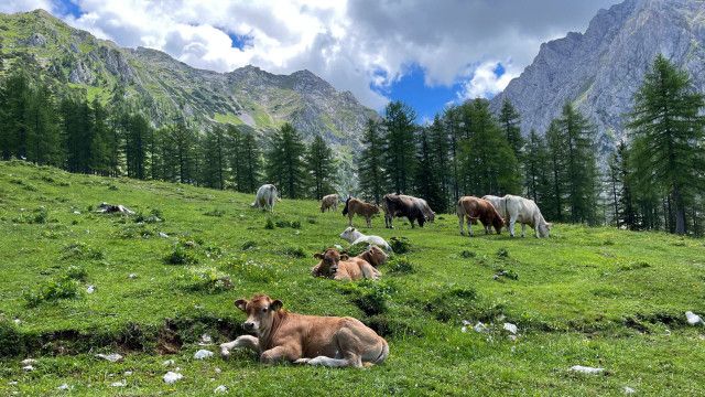 Heimat Österreich: Rund um Windischgarsten