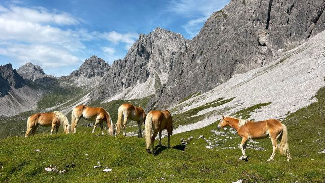 Naturwunder und Höhenflüge: Unterwegs am Tiroler Adlerweg