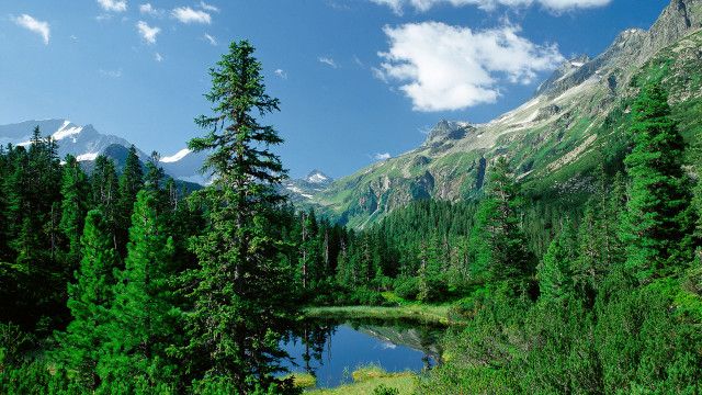 9 Plätze – 9 Schätze: Wiegensee (Vorarlberg)