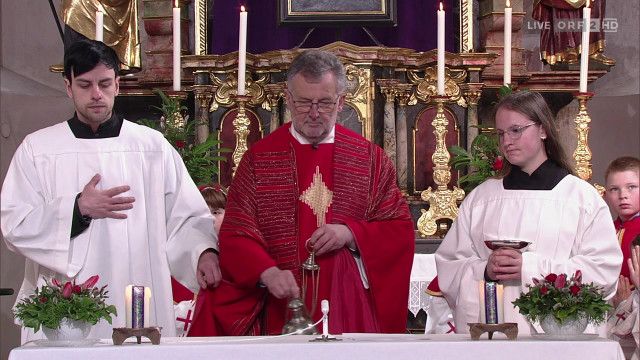 Katholischer Palmsonntagsgottesdienst: "Im Jubel gefeiert - im Leid getragen"