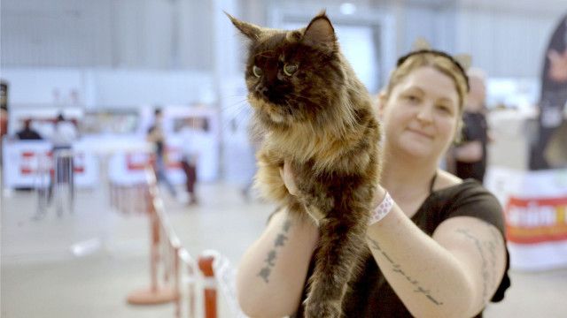 König Hund & Kaiserin Katze - das Geschäft mit der Tierliebe