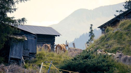 Heimat Österreich Heimat Österreich Folge 230: Rund um die Tuxer Alpen