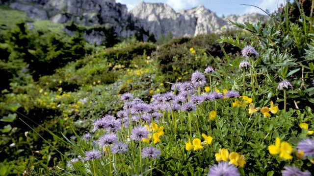 Universum: Eisenwurzen - Geheimnisvolles Land