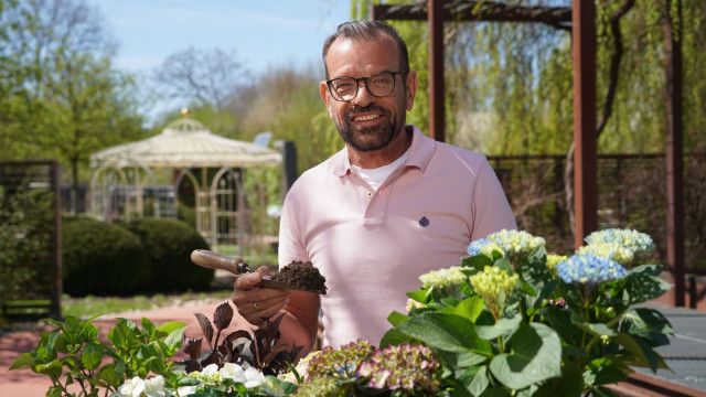 Natur im Garten vom 03.05.2026