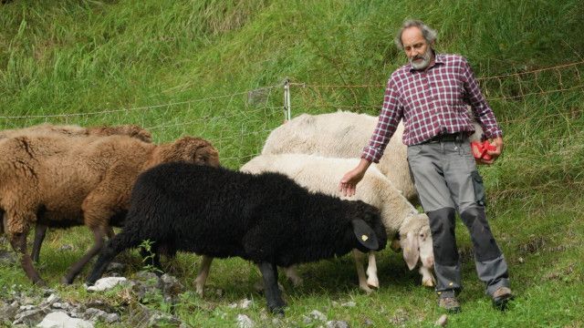 Österreich Bild: Vision und Zusammenhalt - Die Kraft der steirischen Regionen