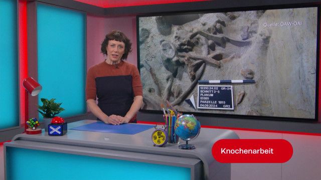 ZIB KiDS vom 23.07.2026