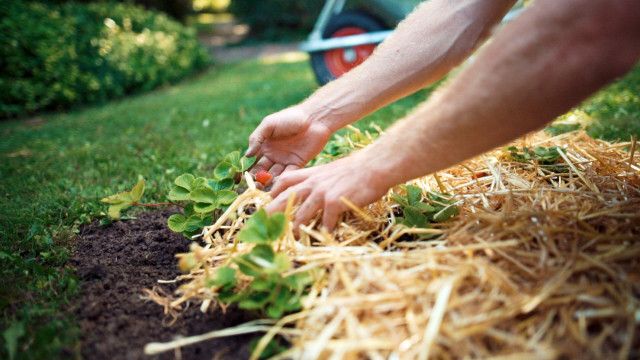 GartenKULT: Der Hanggarten