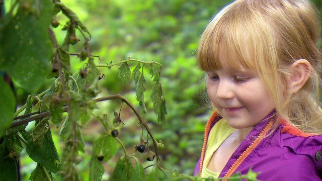 Helmi-Kinder-Verkehrs-Club: Gut oder giftig