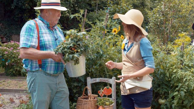 GartenKULT: Der gesunde Garten