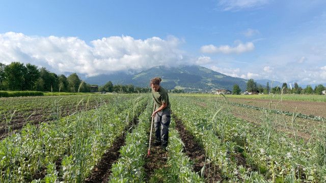 Zurück zur Natur: St. Johann in Tirol