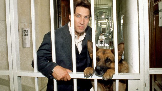 Kult-Serie "Kommissar Rex" (4/17): Mosers Tod