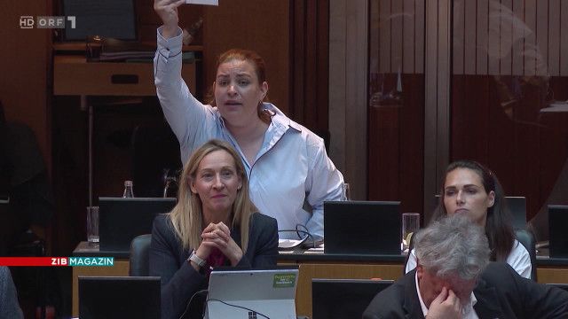 ZIB Magazin: Wie Emotionen die Politik prägen