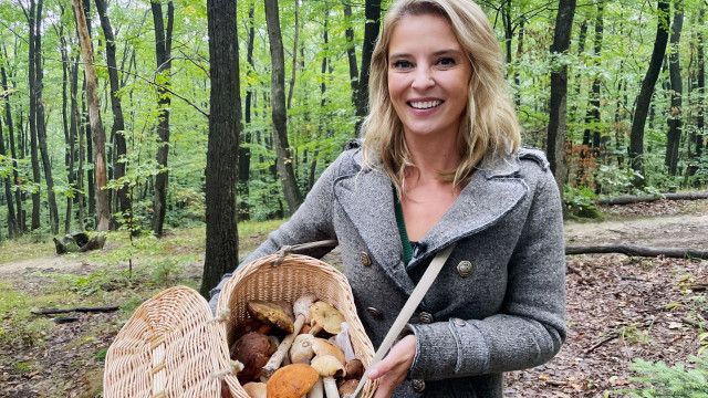 G'sund in Österreich: Die geheime Welt der Pilze - Medizin, Nahrung und Gefahr