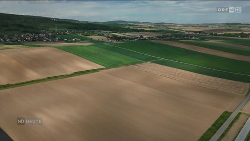 Niederösterreich heute Niederösterreich heute Folge 1109: Niederösterreich heute vom 06.05.2026
