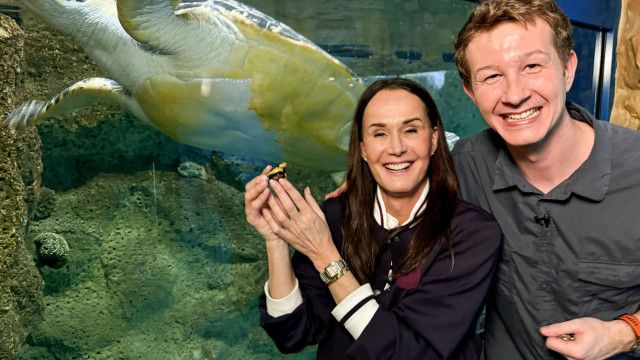 Tierische Augenblicke