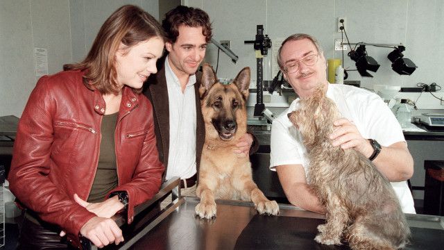Kult-Serie "Kommissar Rex" (4/15): Ein Zeuge auf vier Pfoten