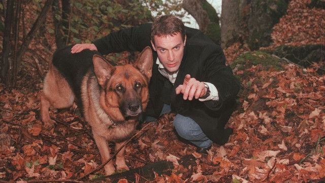 Kult-Serie "Kommissar Rex" (9/17): Geraubtes Glück