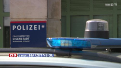 ZEIT IM BILD 1 ZEIT IM BILD 1 Folge 1099: ZIB 1 vom 19.04.2026