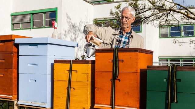 Wunderwelt Bienen: Imkern in der Stadt