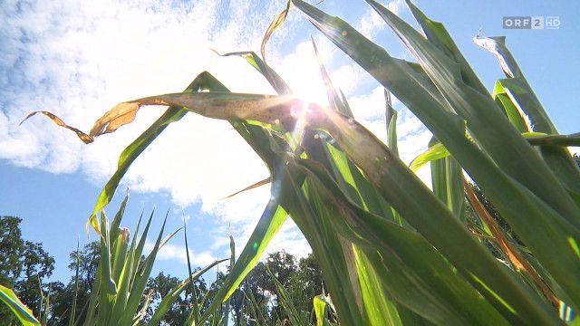 konkret vom 25.08.2026