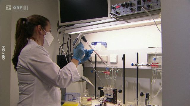 treffpunkt medizin: Superwaffe Mikrobiom: Kluge Heiler im Darm