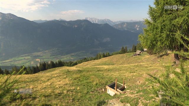 Kärnten heute vom 31.07.2026