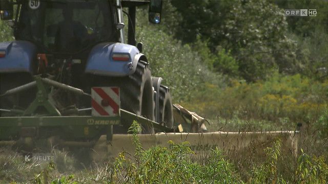 Kärnten heute vom 03.09.2026