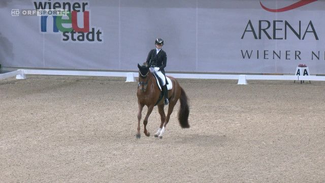 Pferdesport GP Freestyle 2026, Highlights aus Wiener Neustadt