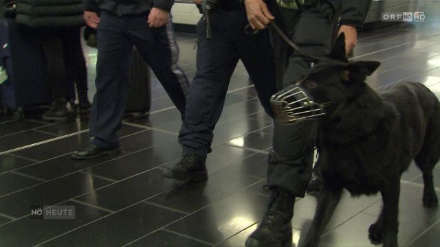 Niederösterreich heute vom 31.03.2026