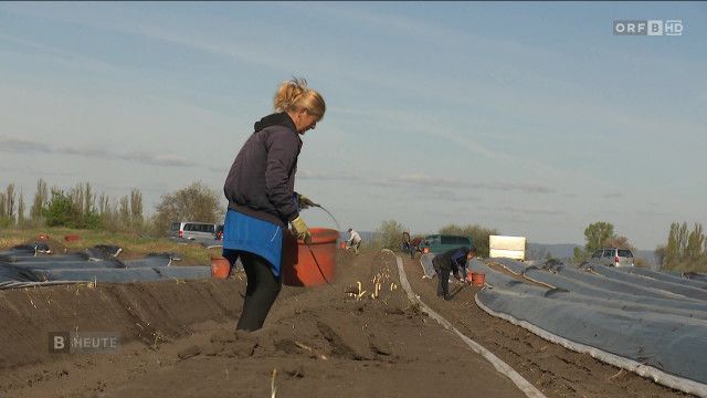 Burgenland heute vom 09.04.2026