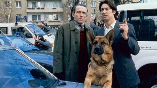 Kult-Serie "Kommissar Rex" (7/15): Gefährliche Jagd