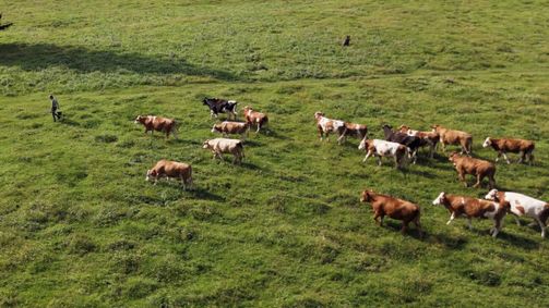 Land der Berge Land der Berge Folge 407: Almgeschichten aus Oberösterreich