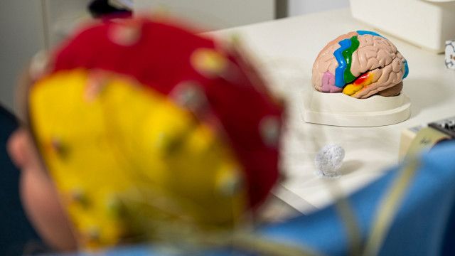 treffpunkt medizin: Gesundheitsmythen: Gehirn