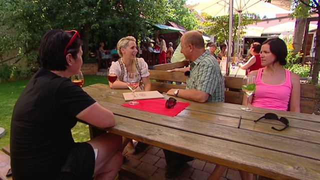 Harrys liabste Hütt'n: Mittelburgenland