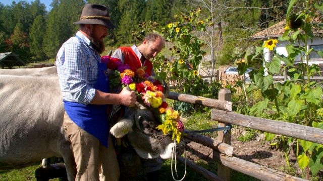 Landleben: Rund um Altrei