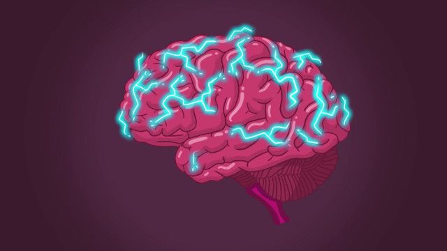 Wunder Du Clip: Gehirn - Signale