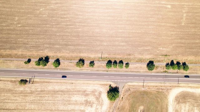 WeltWeit: Hitze, Dürre, Wassernot. Wie rüsten für den nächsten Sommer?