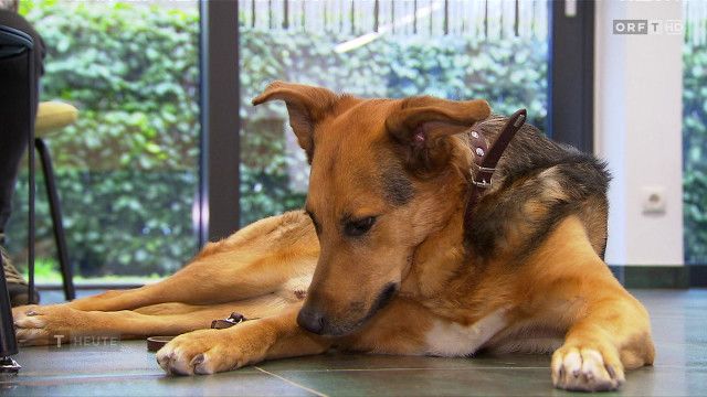 Tirol heute vom 04.04.2026