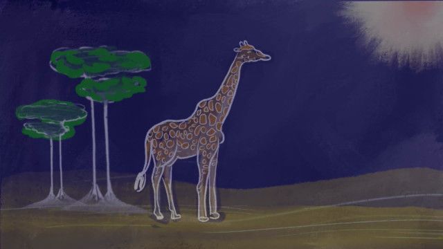 Das große ZIBikon: Giraffen