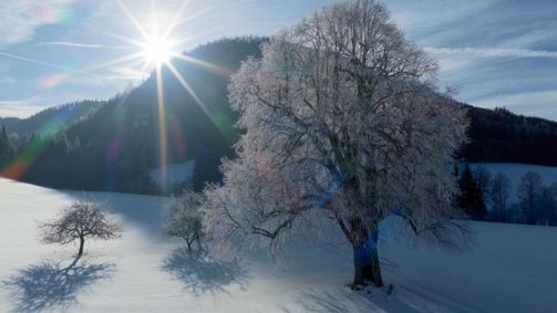 Landleben Landleben Folge 238: Rund um Seewiesen