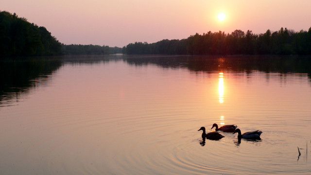 Kamp - Ein Fluss für alle Sinne