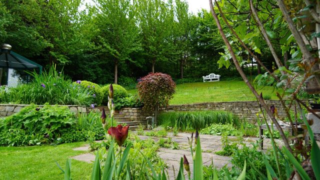 Natur im Garten vom 07.06.2026