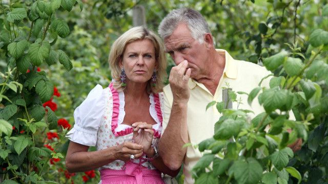 Soko Kitzbühel (10/13): Geheime Genüsse