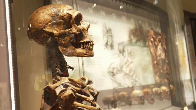 Wunder Du Clip: Zahnschmelz