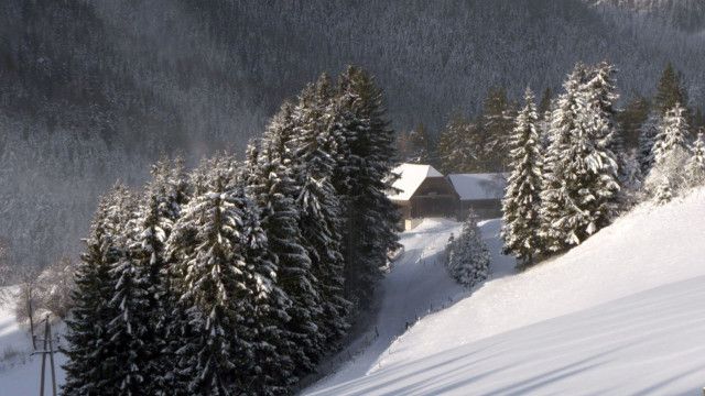 Heimat Österreich: Leben in der Waldheimat