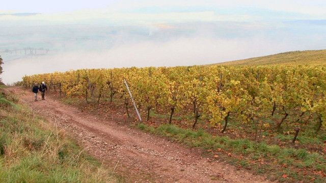 Wege der Genüsse: Der Stanislas Kléber Weg