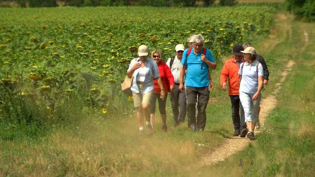 Unser Österreich: Auf verschlungenen Pfaden - Pannonisches Pilgern